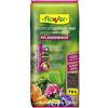 FLOWERS 'Flowers 4 - 80119 - Substrato Universale pflanzenerde fertilizado 70L