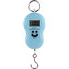 Bilancia digitale portatile da appendere 50 kg 110 libbre gancio acciaio di