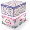 Set 2 Pezzi Hello Kitty Scatole Armadio in Cartone, Organizer Scatole per Vestit