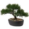 Briful Bonsai artificiale in vaso, 22,9 cm, piante finte, bonsai giapponese, dec