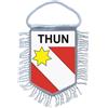 Non Di Marca Mini Fanion Drapeau Paese Auto Decorazione Souvenir Blason Thun Svizzera