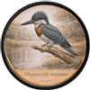 Patch Ecusson Martin-pêcheur géant Megaceryle maxima Bordo Ricamato