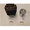 Newgardenstore Kit cilindro pistone motore DIESEL LOMBARDINI LDA510 3LD510 tipo vecchio 4898.00