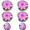 6 PCS Accessori Per Laghetti Ninfee Artificiali Piante Acquatiche