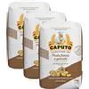 CAPUTO Farina Caputo Classica Pasticceria Pizzeria Nuvola Manitoba - 3 Farine da 1Kg