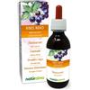 Naturalma Ribes nero (Ribes nigrum) Gemmoderivato analcoolico da gemme fresche Estratto