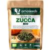 Semi Di Zucca BIO 1Kg | Origine Europa | Senza Sale, Sgusciati E Crudi | Cucurbi