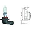 Diederichs COMPATIBILE CON VW HB3 [9005] 12V 60W P20d LAMPADA lampadina lunga durata