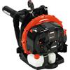 ECHO SOFFIATORE PROFESSIONALE ZAINATO A SCOPPIO ECHO PB770 63,3CC