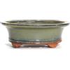 Pollice Verde Vaso bonsai smaltato ovale cm. 25