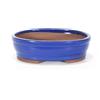 Pollice Verde Vaso bonsai smaltato ovale cm. 25