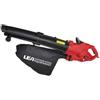 DUNSCH SOFFIATORE ASPIRATORE ELETTRICO 3000W