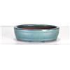 Pollice Verde Vaso bonsai smaltato ovale cm. 20