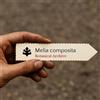 World Plants Melia composita | Malabar Neem, Royal Neem | 1000 SEEDS - - SEMI Neem Malabar |