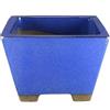 Pollice Verde Vaso bonsai smaltato quadrato blu 29 cm