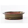 Pollice Verde Vaso bonsai smaltato ovale cm. 20