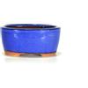 Pollice Verde Vaso bonsai ovale 12 cm smaltato blu