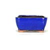 Pollice Verde Vaso bonsai rettangolare 11 cm smaltato blu
