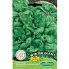 Germisem Winter Giant Semi di Spinaci 15 g