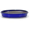 Pollice Verde Vaso bonsai ovale 31 cm smaltato blu