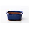 Pollice Verde Vaso bonsai rettangolare 16 cm smaltato blu