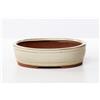 Pollice Verde Vaso bonsai smaltato ovale cm. 20