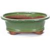 Pollice Verde Vaso bonsai smaltato ovale cm. 25