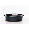 Pollice Verde Vaso bonsai smaltato ovale cm. 20