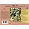 VIALCA CAOLINO 100% BIOLOGICO KG.5/20 PER MOSCA DELL'OLIVO IN AGRICOLTURA BIOLOGICA