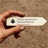 World Plants Lithops schwantesii 'Nutupsdriftensis' | Nutupsdrift Pebble Plant | 1000 SEEDS -