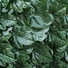 SIEPE VERDECOR EXTRA TIPO EDERA 1X3M VERDEMAX SCHERMATURA TOTALE