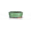 Pollice Verde Vaso bonsai ovale 11 cm smaltato verde