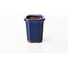 Pollice Verde Vaso bonsai quadrato 8 cm smaltato blu