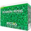 Bottos Sementi Dichondra Repens 500g Zollaverde Bottos