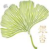 Stencil Foglia Ginkgo Biloba Parete Mylar Riutilizzabile Decorazione Casa L