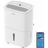 Shinco WIFI Deumidificatore Portatile 50L/Giorno con Pompa di Sollevamento
