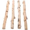 4 Pcs Legno Di Betulla Fascio Tronchi Per Braciere Legna Da Ardere