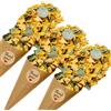uxcell 30 Coni coriandoli fiori secchi petali rosa/giallo/verde per eventi