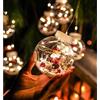 Palline di Natale decorazioni Natalizie interne /esterne sfere led babbo natale