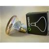 Lindner Lampadina ELDEA 25w E14 230v cupola argentata LINDNER (NEOLAMP) Made in Italy