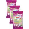 Brawn Salviette Igienizzanti Monouso - con Effetto Igienizzante - Rimuove Germi e Batt