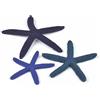 Biorb by Oase Decorazione acquario set 3 stelle marine blu biOrb art 46143