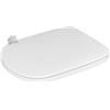 Ideal Standard Copriwater per Ideal Standard Tesi New Bianco Duroplast Cerniere Inox Regolabili