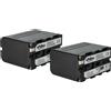 vhbw 2x Batteria per Hitachi VM-E565 VM-E540E VM-E535LE VM-E540 VM-E555 6000mAh