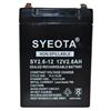 Songyuan Batteria Piombo AGM 12V 2.6Ah SY2.6-12 Allarmi Bilance Giocattoli