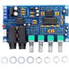 No 2X(Scheda Amplificatore Microfono XH-M173 Karaoke Board Board L3E4)2251