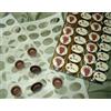 Advent CONFEZIONE 25 CIALDE CHOCOTRANSFERS NEUTRE DA STAMPARE CON STAMPANTE ALIMENTARE