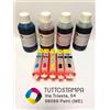 Fargo Electronics KIT INCHIOSTRI+CARTUCCE STAMPANTE ALIMENTARE CANON CIALDE PASTICCERIA 570/571