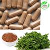 Prodotto ceylon 2 Lunuwila/Brahmi Plant Capsules (600 mg) Bevanda a base di erbe biologica...