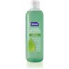 Kelemata Kelémata, Shampoo Equilibrante alle Foglie di Ortica, 250 ml, Regola l'Eccesso d